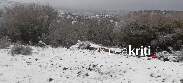 Στα λευκά και η Κρήτη -Φωτογραφίες από τον χιονισμένο Ψηλορείτη